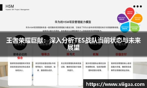 王者荣耀巨献：深入分析TES战队当前状态与未来展望